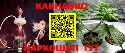 индика Конаково