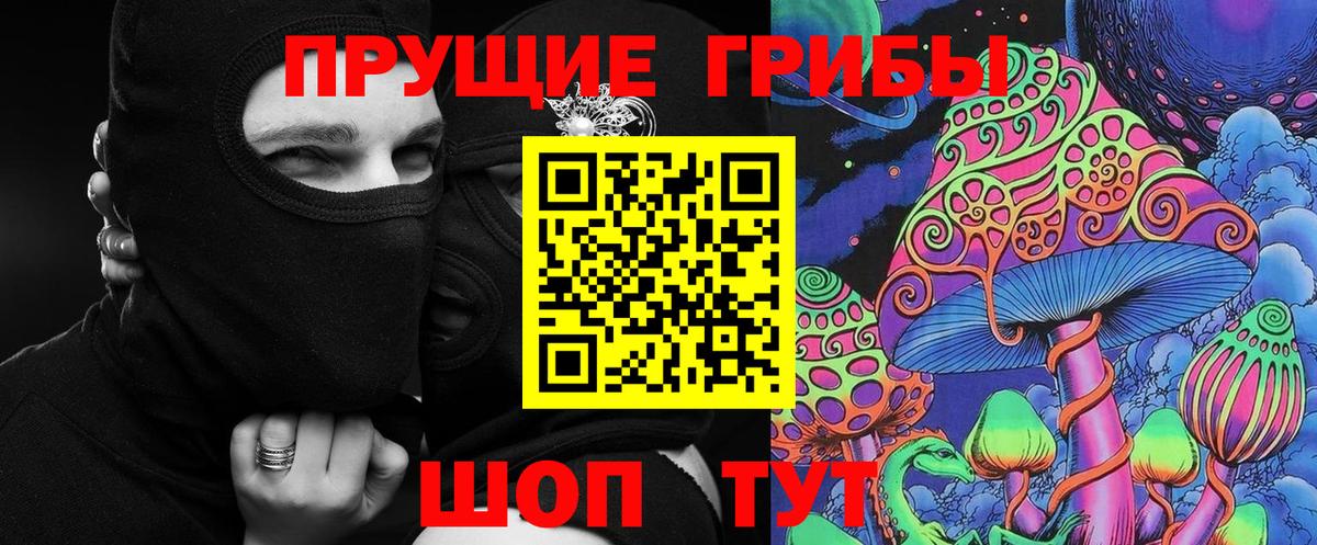 Кизилюрт  Галлюциногенные грибы Cubensis  Вход с VPN 