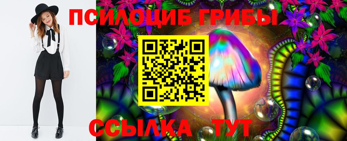 Псилоцибиновые грибы Magic Shrooms Кизилюрт